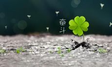 如何创造一个充满活力、积极向上的个性签名？