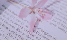 向辛勤教育传授知识、激励人心的尊敬教师们学习，我们深为感激并无尽感谢！