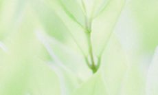 哪些句子能够让人感到快乐和满足？