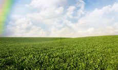 用立秋之际发送的短信，向朋友问候和分享感受