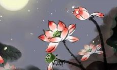 探索大暑美学：瑰丽的文案灵感和优美唯美句子，让你融入令人心醉的大暑氛围！