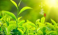 20个唯美的句子，揭示小暑的神秘面貌