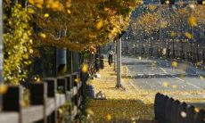 立秋图片赏析：42句唯美的关于立秋的优美句子，让你感受四季变幻的诗意之美