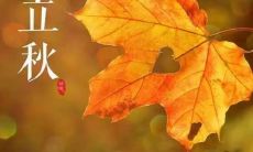 20句唯美句子供您在立秋时刻发布社交媒体状态使用！