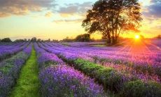 15句关于做妈妈后的感言，分享妈妈们的心情与经验