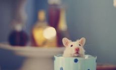 探究友情的意义和价值：一些有关友情的深刻句子及其解析