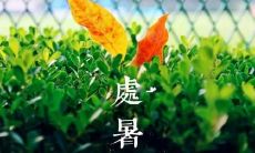 收集与处暑有关的美图16张和适合发朋友圈的处暑主题句子16条