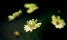 2022年最新版超级搞笑的朋友圈天气热的说说大合集，让你尽情发挥幽默风采！