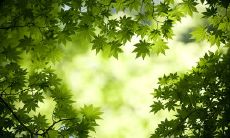 友情就像舞台上的一出戏，让人沉浸于其中的情感世界