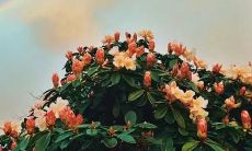 分享端午节友情的感人句子，让你的挚友感受到爱与陪伴