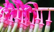 不后悔交友的名言警句：为什么交朋友值得珍惜，为什么选择朋友不后悔更重要？