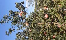 如何巧妙地通过短信向客户发送问候信息：提高客户满意度的技巧