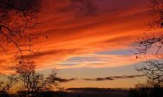 感到父母的行动让自己心生失望的悲痛句子