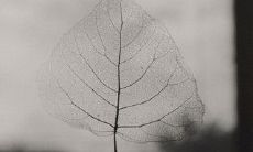 悔上加悔的绝望感：让你深刻认识到做事后悔的句子