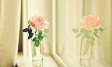 探讨亲情在生命中的价值和意义：亲情是照亮人生道路的不灭之光