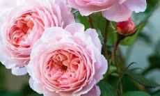 五一假期结束后，发送温馨问候短信，表达友好情感