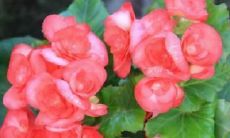 经典友情句子：提醒我们尽可能经营和珍惜我们的友谊，以确保它们保持持久和有意义的联系