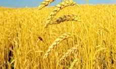 细腻描绘工友情谊的盛景：迎接彼此相聚时刻，挹注温馨感与欣喜，不舍离别的无穷眷恋