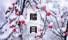 感受冬韵的心灵之美——汇聚腊月优美句子