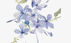 尝试修改后的标题：分享闺蜜友情的幽默句子、说说心情和短语，为你带来愉快的笑声和欢乐时光！