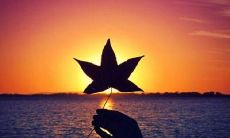 探讨闺蜜友情的感人句子，彰显真挚羁绊和无条件支持的美好信仰