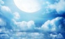 分享一些最感人的友情句子，让你感受真挚的情感力量