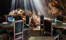 令人动容的朋友情句子，能够深入人心刻画出真挚的情谊