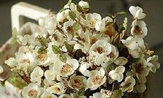 探究友情之深，勾勒出打动人心的友情之语