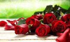 收到情人节礼物的句子，分享你的感受和喜悦