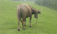 在现在埋头苦干，以免将来仰面求人的情况发生