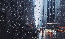 的，但对整个社会失望的句子却可能是无穷长的：探讨社会失望感所蕴含的深刻社会问题