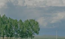 抖音经典语句，让你疯狂点赞转发，助力火爆个人账号的秘诀