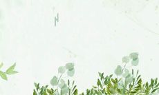 精选自各类文艺作品和文学经典，描写亲情的最低声细语，搭配以真挚感动的语言情感，编成精美选集，为您点燃亲情回忆的火花——写亲情的选自名篇句子