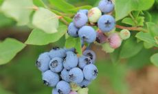 亲情利益之争：当血缘关系面对物质利益时所呈现出的复杂纠葛