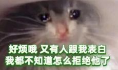 收获难忘的茶语茶句：绿茶婊的原创句子让你更爱喝茶