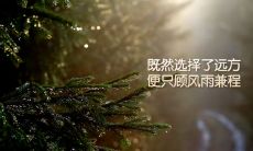 包含多元文化及不同领域的丰富座右铭大全，为人生励志的必备指南