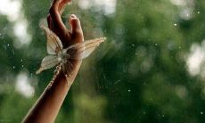 八月欢迎你请给予我美好待遇——2022年全新清新短句八月说说推荐