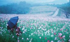 分享24个关于端午节包粽子的有趣话题