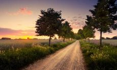 8句令人开心快乐的个性签名句子，让你每天都活力满满！