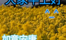 收集早晨情感问候短信大合集，让你的每一天都充满温暖和情感表达！