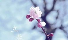 经典文化的珍品——描绘立春的诗句和诗词，让你在这个特别的日子里感受到传统文化的魅力！