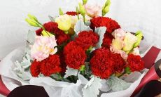 种——如何合适地向生病领导家人发送问候短信：6种技巧分享