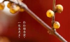 超全的2021立春祝福语，让你尽享四季欢乐，愿万物复苏，秋收冬藏，人人皆欢，幸福满满