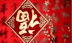 多彩春节送给至爱妻子的祝福语，表达深深的爱戴之情