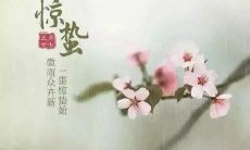 精选的惊蛰节日祝福语，简短而有深意