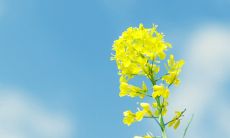 激励青春奋发向前的励志句子，让你倍感动力和能量！