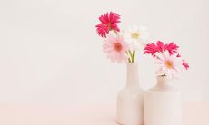 一些能表达深刻亲情之情的简短句子，让你感动感悟的话语