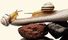 超全2022公司口号大合集，全方位满足企业品牌塑造需求！