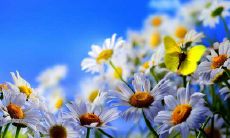 探究实现幸福生活的感悟与建议：一组深入思考的有关个人快乐与心灵平衡的句子