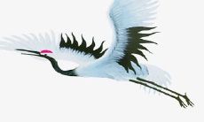 感人至深的初中友情，充斥着令人心醉的唯美句子